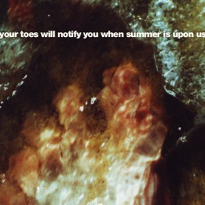 Your Toes Will Notify You When Summer Is Upon Us