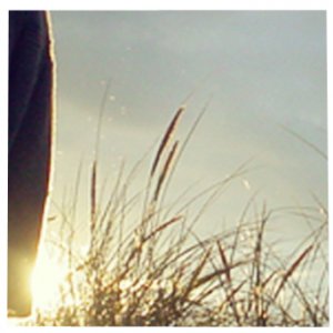 Run Away
