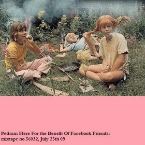 For The Benefit of Facebook Friends