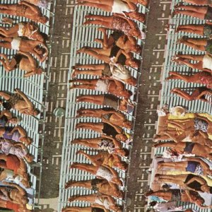 gvsb summer mix