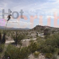 Download Hot Scrub - Theme: Texas Summer Loves You Hot Scrub