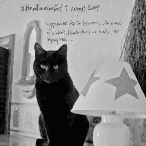 songs for cats & dogs