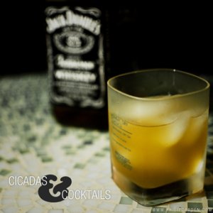 Cicadas & Cocktails