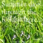 Summer days through the folkish haze